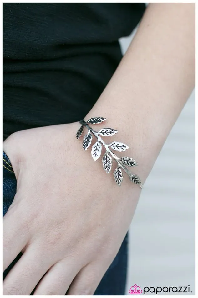 Paparazzi Jewelry Bracelets Paparazzi Bracelet A Taste Of Spring Silver