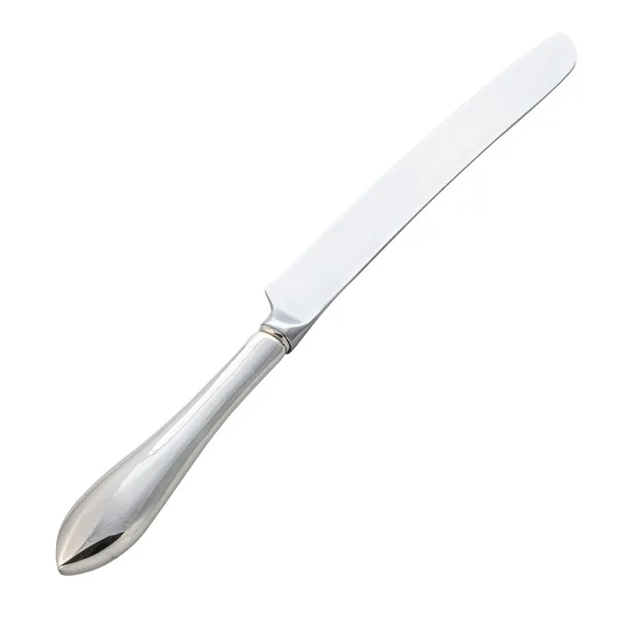 Pointed Antique Sterling Silver Wedding Cake Knife Croghans Rings