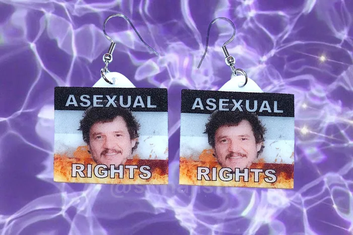 READY TO SHIP Pedro Pascal says Gay Rights Flame Pride Flag Handmade Earrings Sam Makes Things Earrings