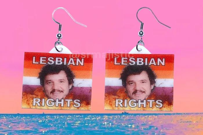 READY TO SHIP Pedro Pascal says Gay Rights Flame Pride Flag Handmade Earrings Sam Makes Things Earrings